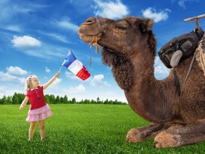 71 L Amitie Franco Marocaine Francais Authentique