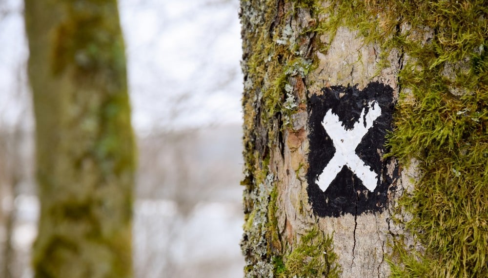 Faire une croix sur quelque chose - Français Authentique