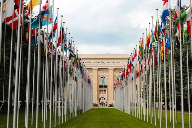 Apprendre le français pour travailler à l'international